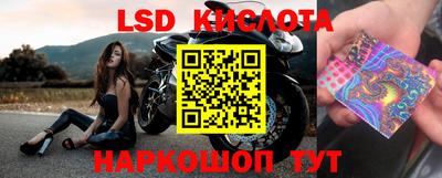 спайс Камышлов