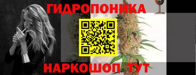 сатива Кандалакша
