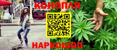 сатива Кандалакша