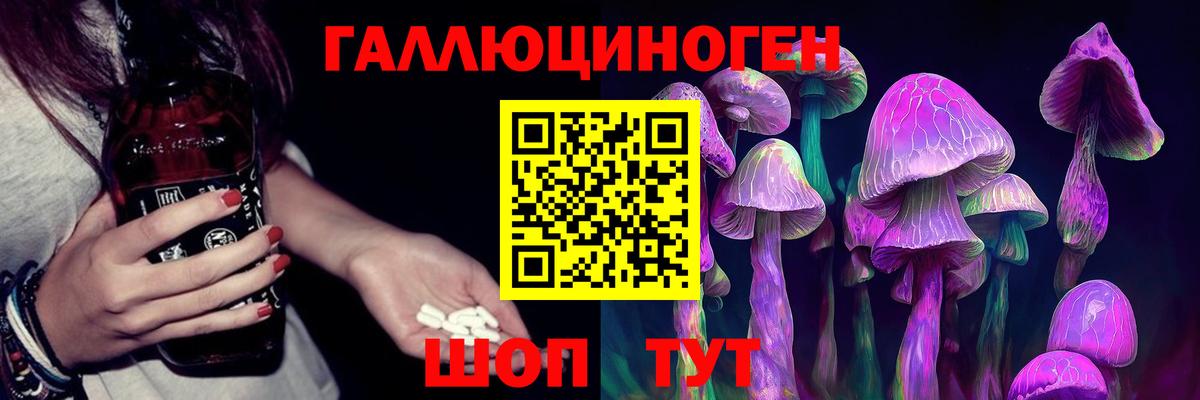 Псилоцибиновые грибы GOLDEN TEACHER  Вход с VPN  Буйнакск 