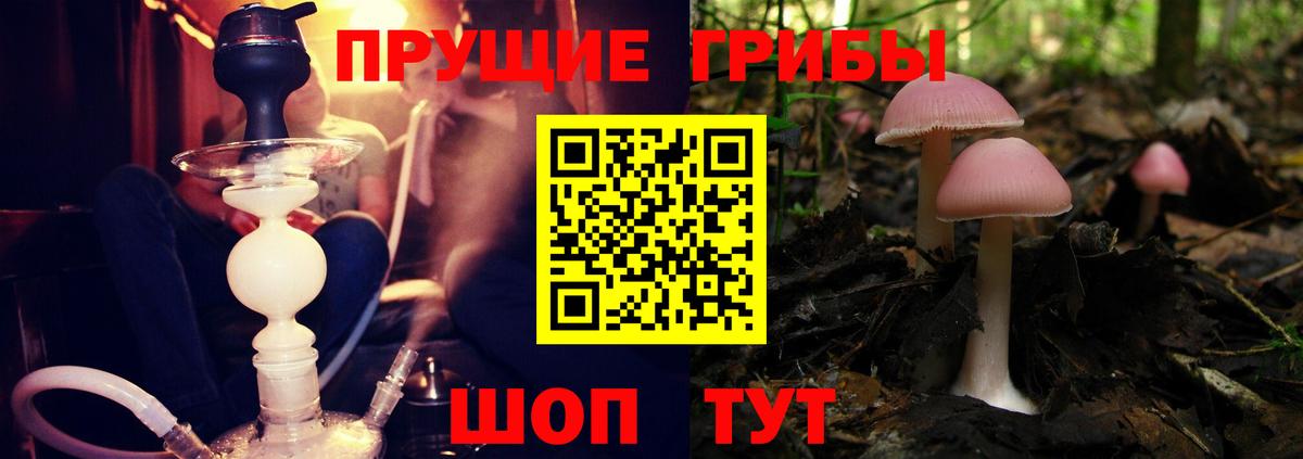 Галлюциногенные грибы Cubensis Буйнакск